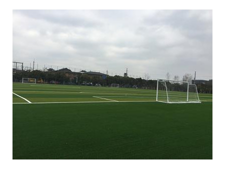 Искусственный газон для футбольного поля Tencate MSTTMCS Diamond