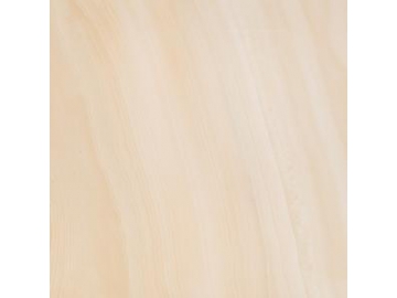 GOLDEN COAST Series Polished Porcelain Tile