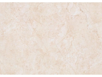 ALPS Series Polished Porcelain Tile