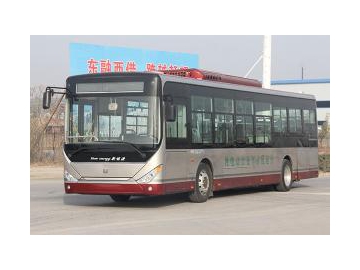 Междугородние автобусы LCK6108T