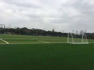 Искусственный газон для футбольного поля Tencate MSTTMCS Diamond
