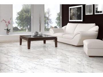 Плитка под мрамор New Bianco Carrara   (Керамогранитные напольные плитки, Плитки для интерьера, Плитки для экстерьера)