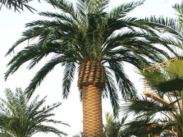 Уличная искусственная финиковая пальма