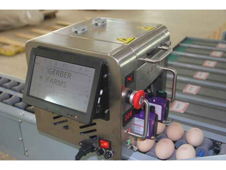 Машина для сортировки яиц 101B (4000 яиц/час)