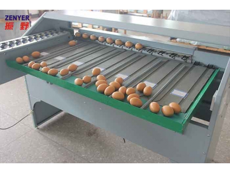 Машина для сортировки яиц 101B (4000 яиц/час)