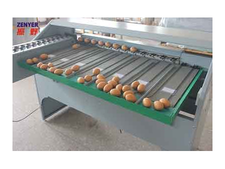 Машина для сортировки яиц 101A (4000 яиц/час)