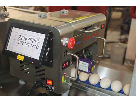 Машина для сортировки яиц 104B (10000 яиц/час)