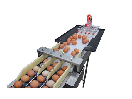 102BS Сортировочная машина для яиц (5400 яиц/час)