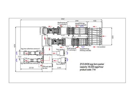 Оборудование для упаковки яиц 714 (55,000 яиц в час)