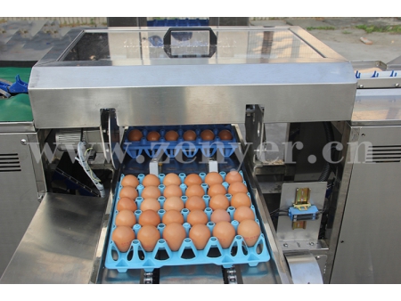 Оборудование для упаковки яиц 710 (10000 яиц/час)