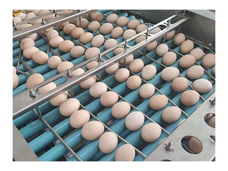После очисткиОборудование для упаковки яиц 713A (27000 яиц/в час)