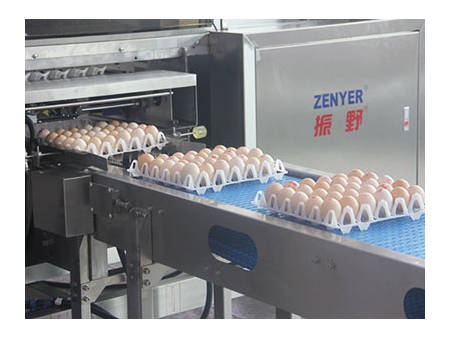 После очисткиОборудование для упаковки яиц 713A (27000 яиц/в час)