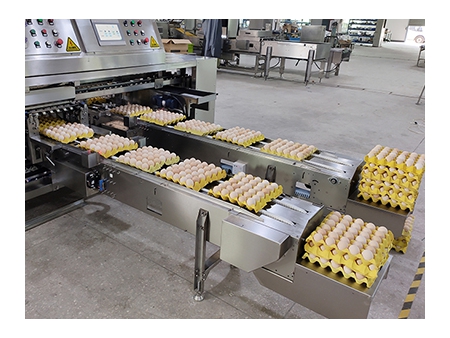 Оборудование для упаковки яиц 714 (55,000 яиц в час)