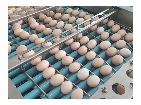 Линия для обработки яиц с очисткой, сортировкой и автоматической упаковкой (20000 яиц/час)