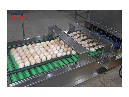 Система сбора яиц 605A