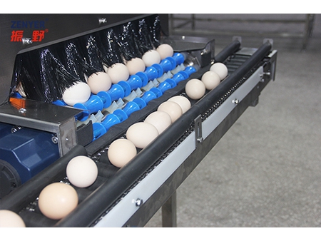 Система сбора яиц 605A
