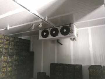 Холодильная камера с контролируемой газовой средой