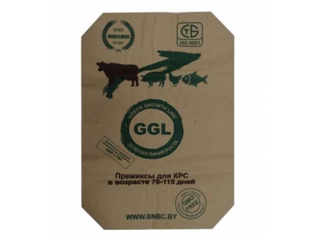 Линия формирования дна и клапана бумажного мешка (Дноукладчик для мешков открытого типа), FM2018