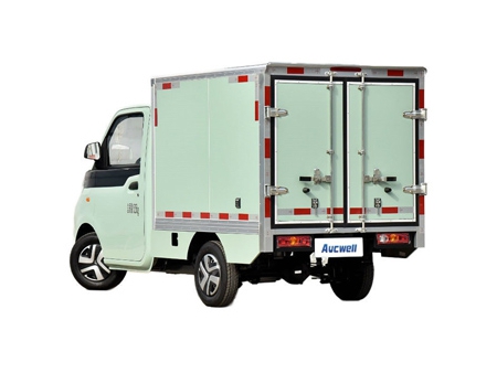 Electric Light Duty Truck