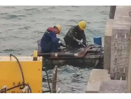 Химический анкер подводного нанесения, MT-500/W
