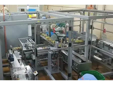Автоматическая линия упаковки лапши быстрого приготовления